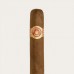 Ramon Allones Specially Selected (Cab of 50) - 50 cigars - Cuban cigars